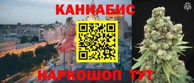 spice Бердск