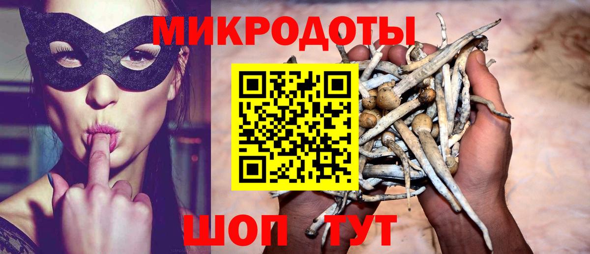Галлюциногенные грибы Psilocybine cubensis Похвистнево